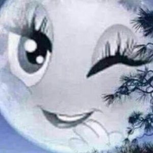 Meet your Posher, Ff